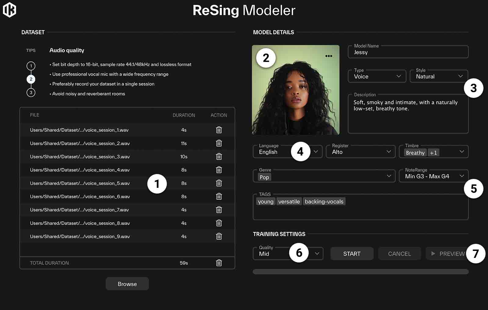 ReSing Modeler interface